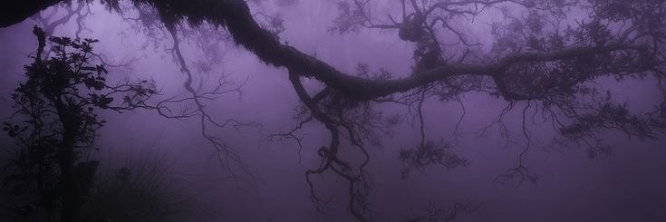 ‎ eva 𝜗𝜚 ★₊˚.⋆☾⋆⁺₊✧'s banner