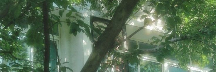 리아's banner