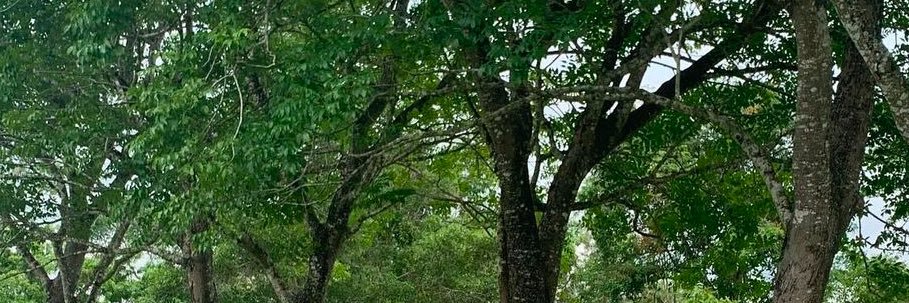 nawbila's banner