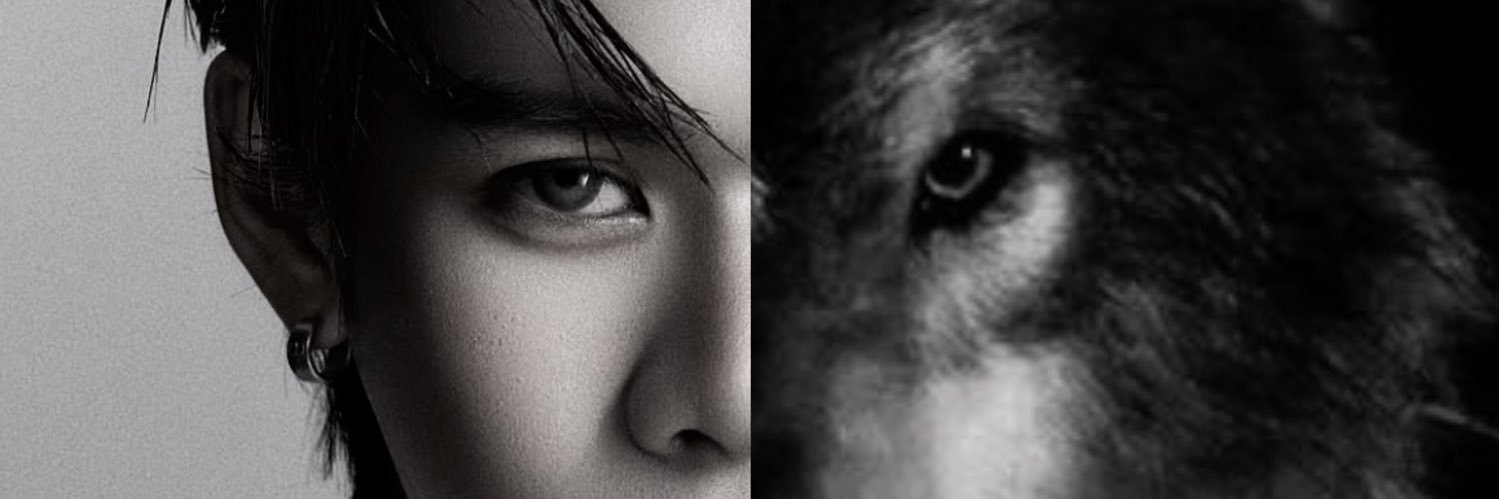 Bacon_is_bacon's banner