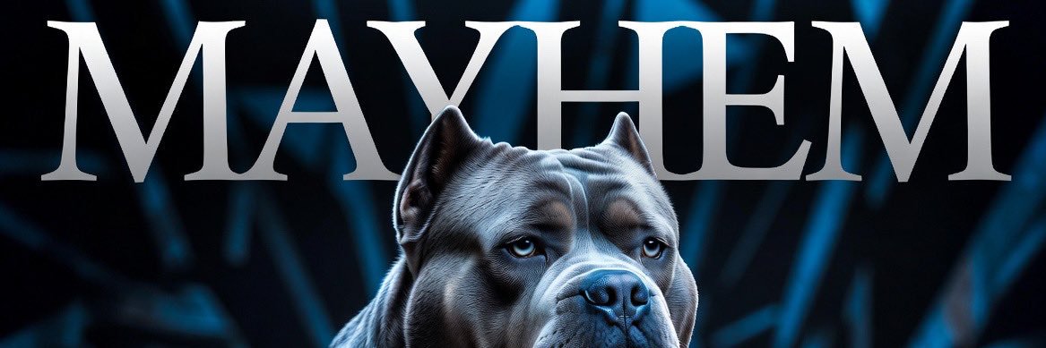 Mayhem 🐶's banner