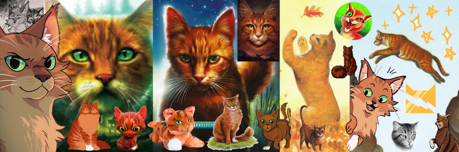 Squirrelstar 🐿️⭐️'s banner