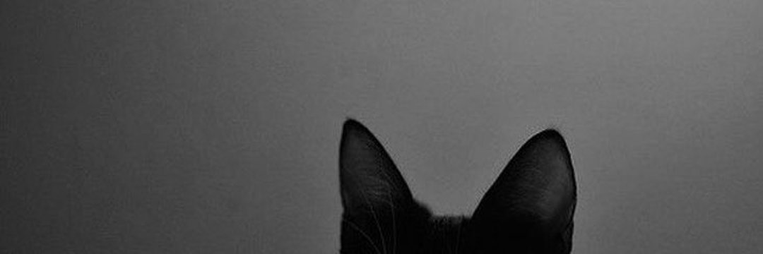 Emilyy's banner