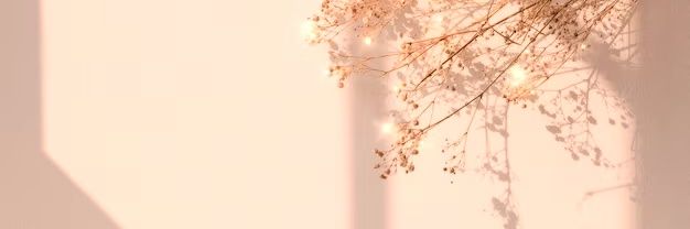あ い*･。's banner