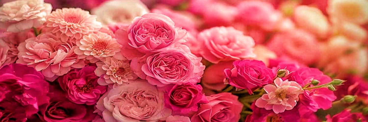 สาวใหญ่...มัมตัวแม่..🥀's banner