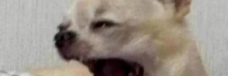 Dark Eddy's banner