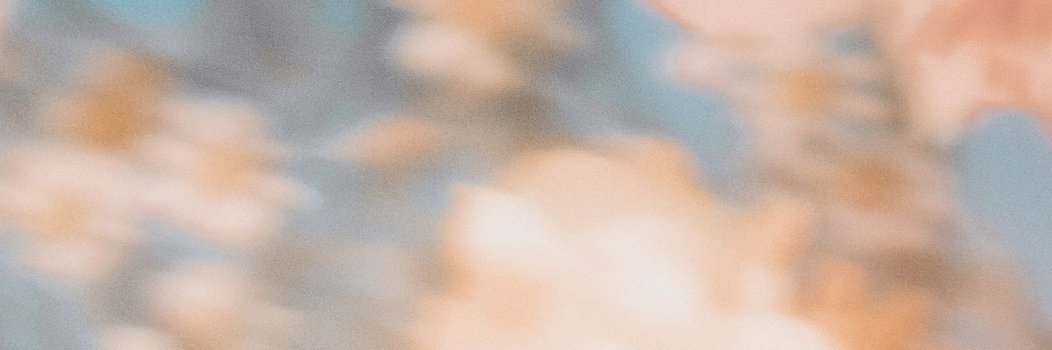 ドルちゃん's banner