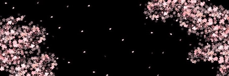 みやびん's banner