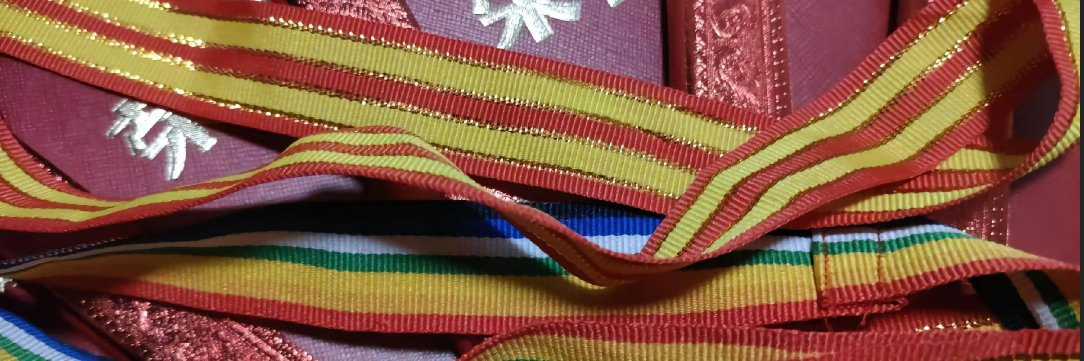 1米59的宝马教练's banner