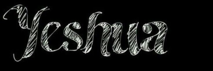 Ara🤍's banner