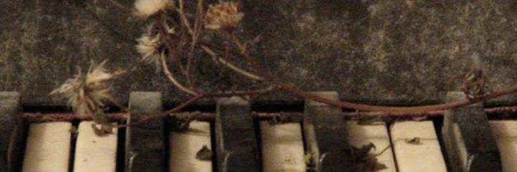 ~☆~Brianna~☆~'s banner