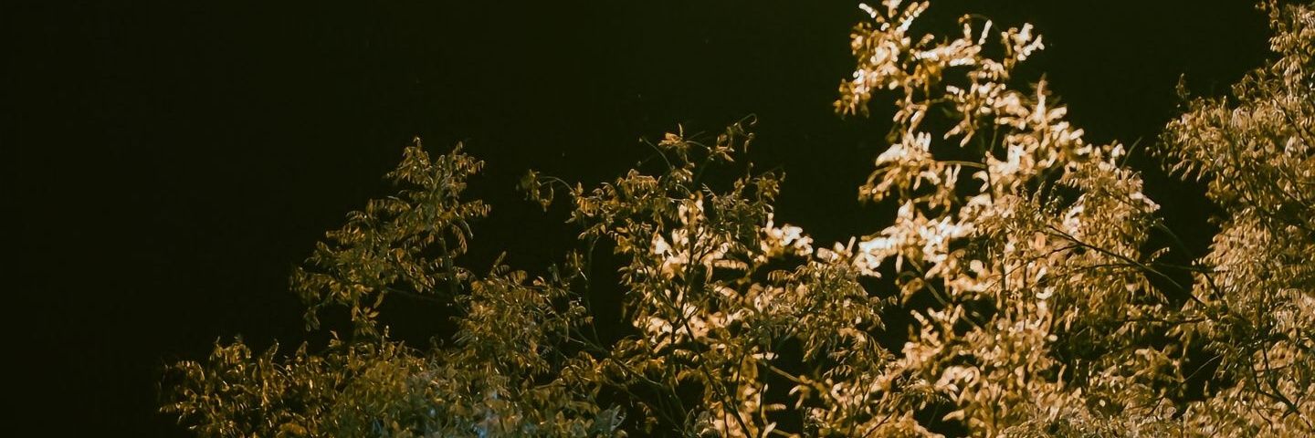 辞职炒币's banner
