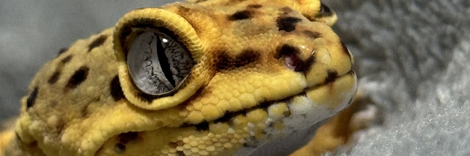 おみぃ🦎🐍's banner