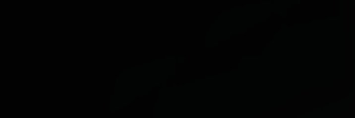 BONES's banner
