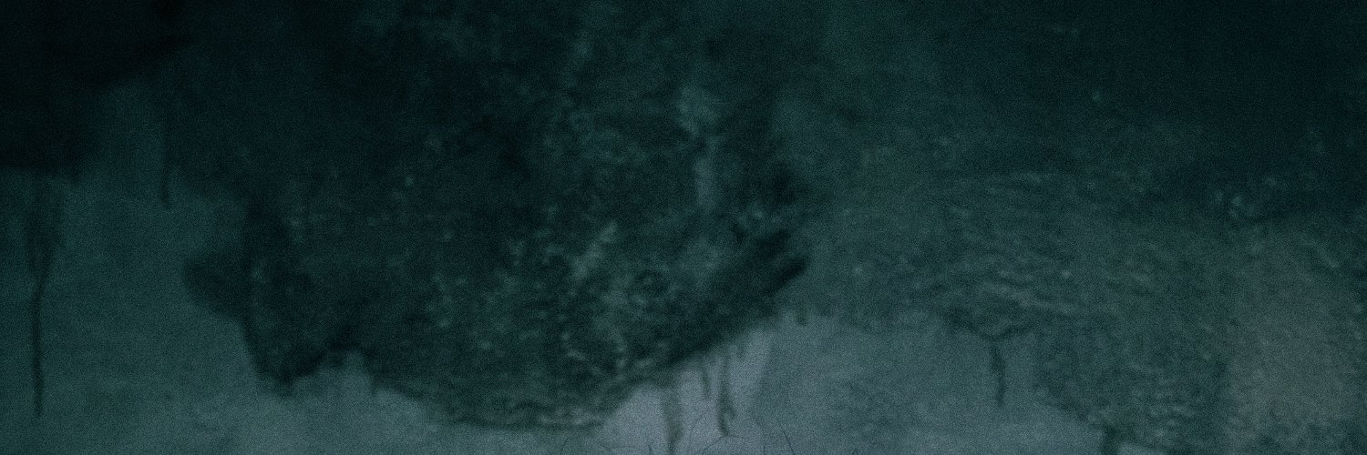 BONES's banner