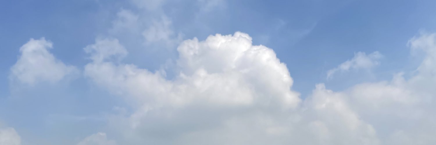 arin's banner