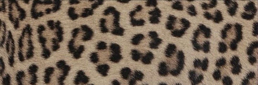 k's banner