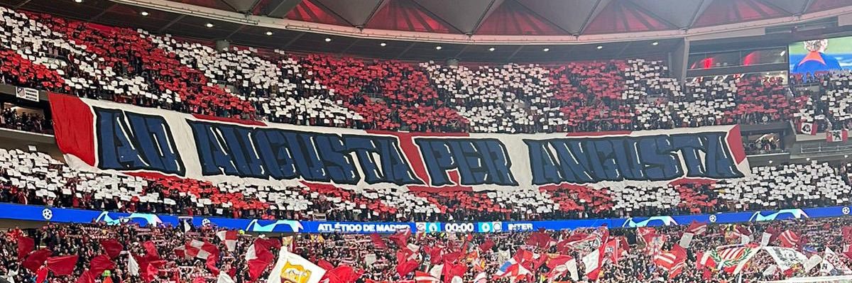 Galletita de Jenngibre's banner
