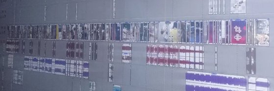 Marmotone.mp4🖖's banner