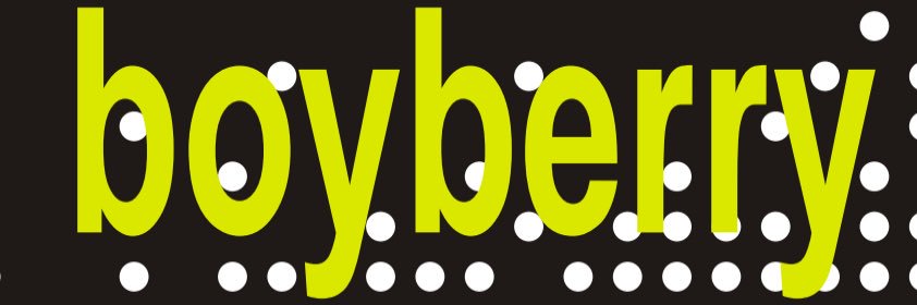 Boyberry Berlin's banner