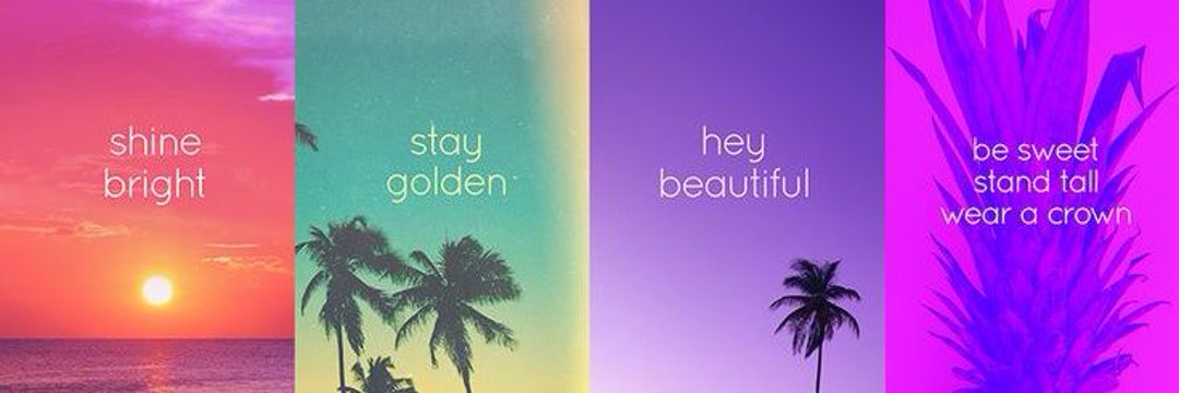 Meenakshi🦋☺️'s banner