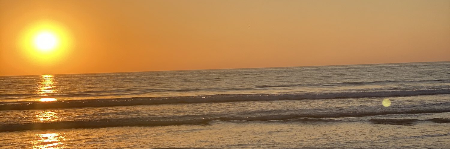Hayden Lei's banner