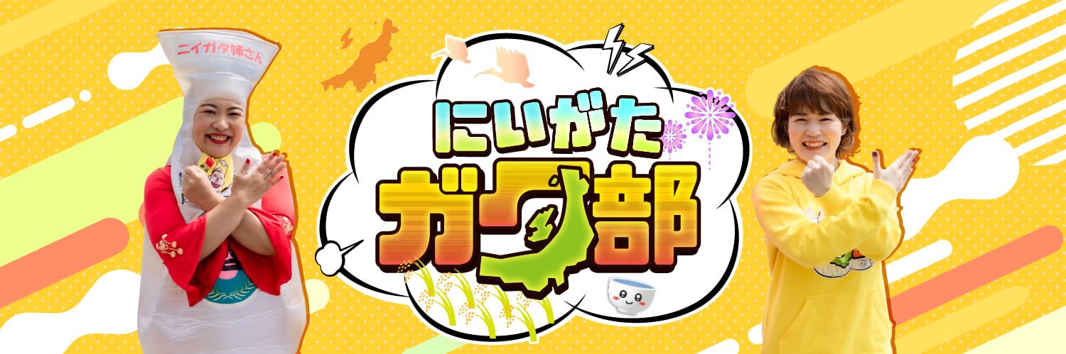にいがたガタ部's banner