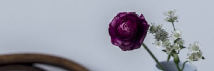 pussy hustler's banner