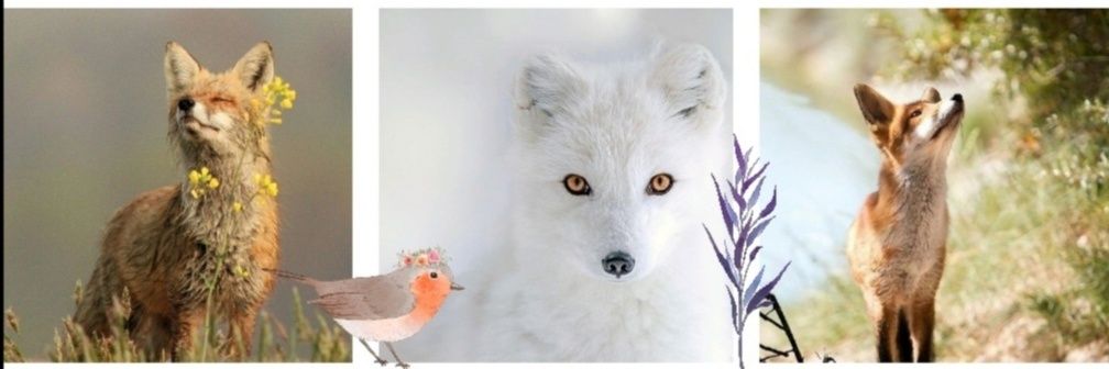 María Mulata🌷🩷🔻's banner