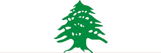 Descartes Regen 👊🇱🇧's banner