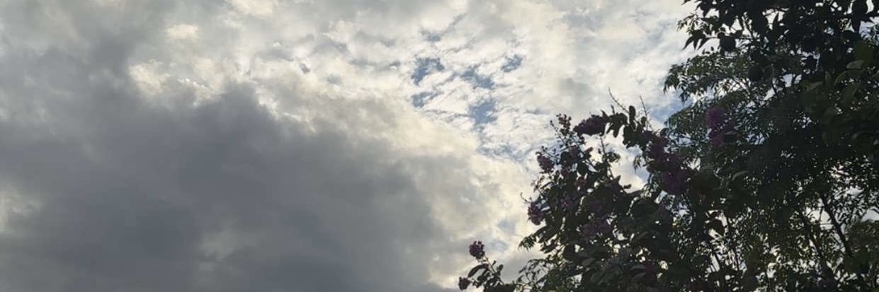 Iris's banner
