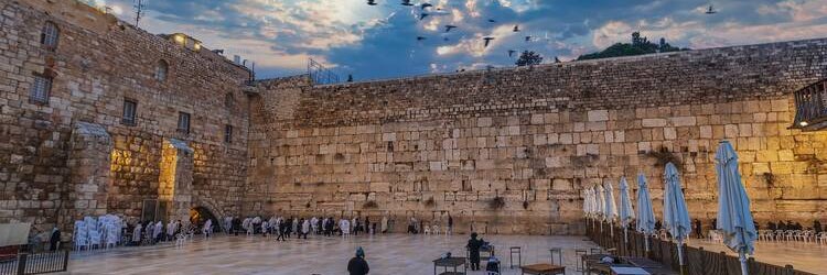 Hart voor Israël 🎗️'s banner