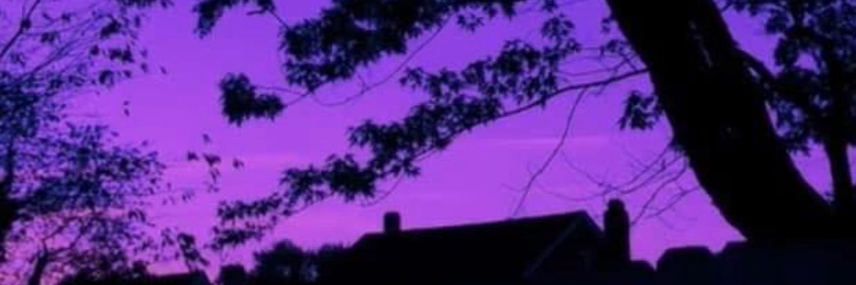 Zoran Zoltanous 𒉭 🔻's banner