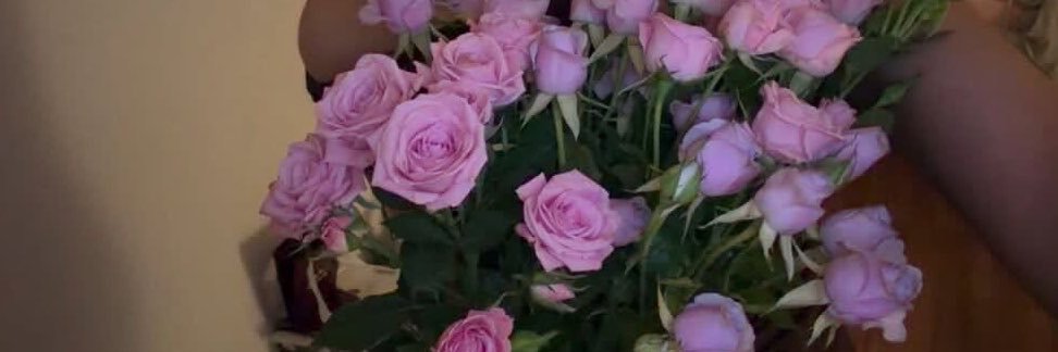 karolyne🦋's banner