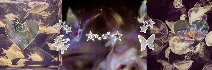 malu's banner