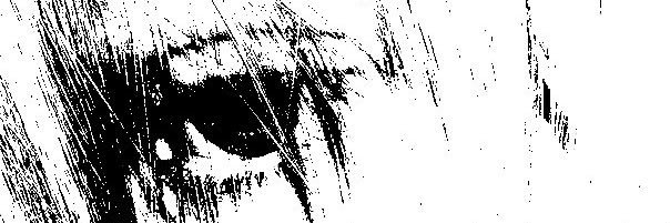 𝄞 NO MORE's banner