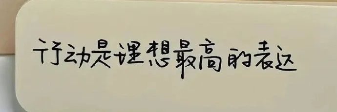 毛豆🦂's banner