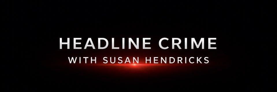 Susan Hendricks's banner