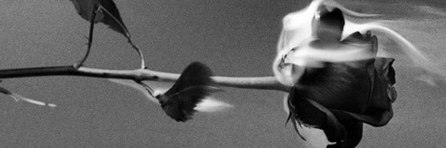 Hell’s Favorite Harlot's banner