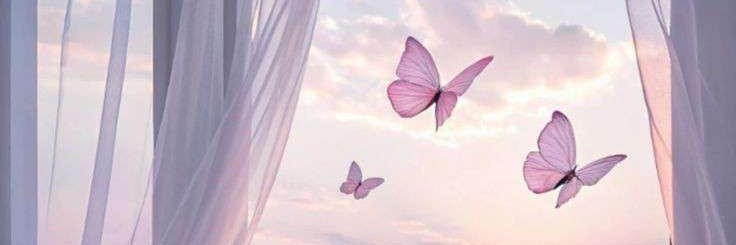 🕊️ Vienna Brooks's banner