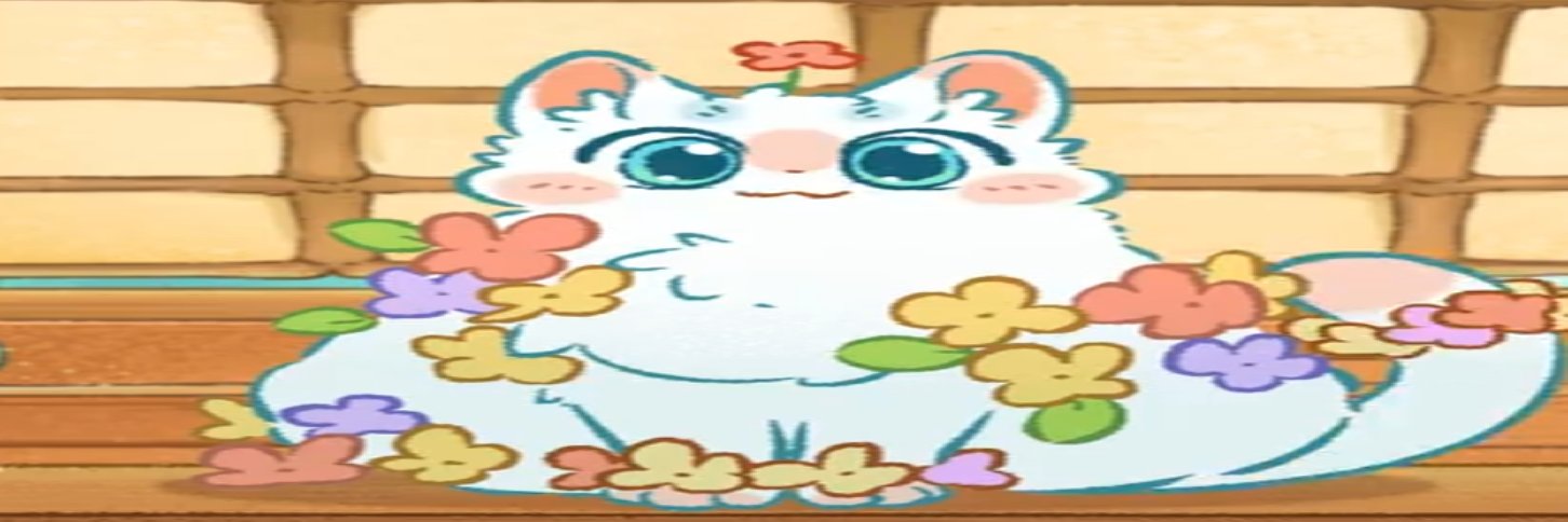 fatass shanque IRL's banner