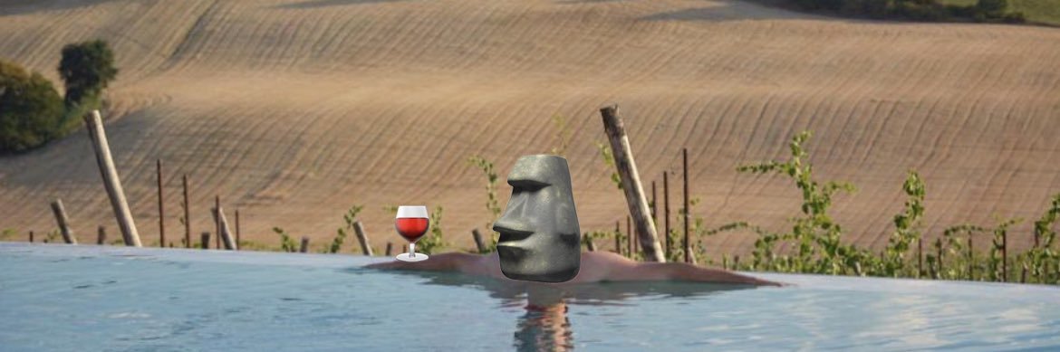 Wine King 🍷🗿's banner