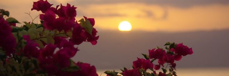 فــاطــمـــ♡ـــہ ✧'s banner