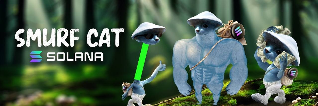 Smurf Cat Solana's banner