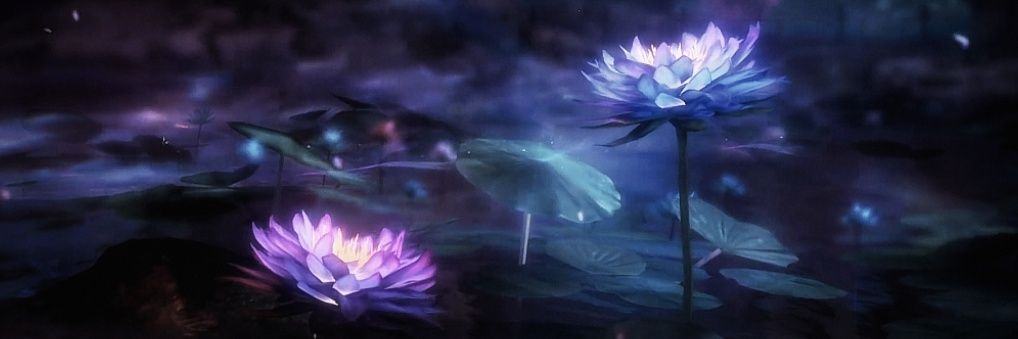 Myst — 夏以JUNE 🍎🪷's banner