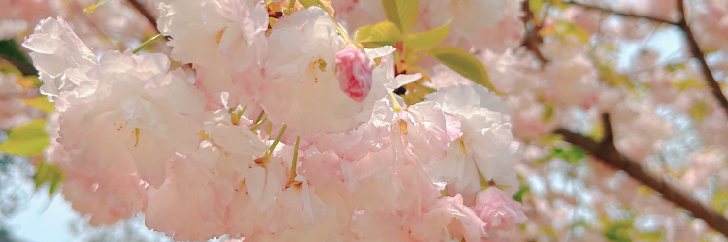 薄井友里's banner