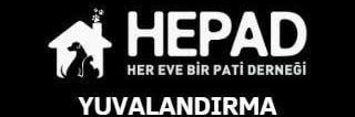 Hepad.hereve1pati 🐾🏡's banner