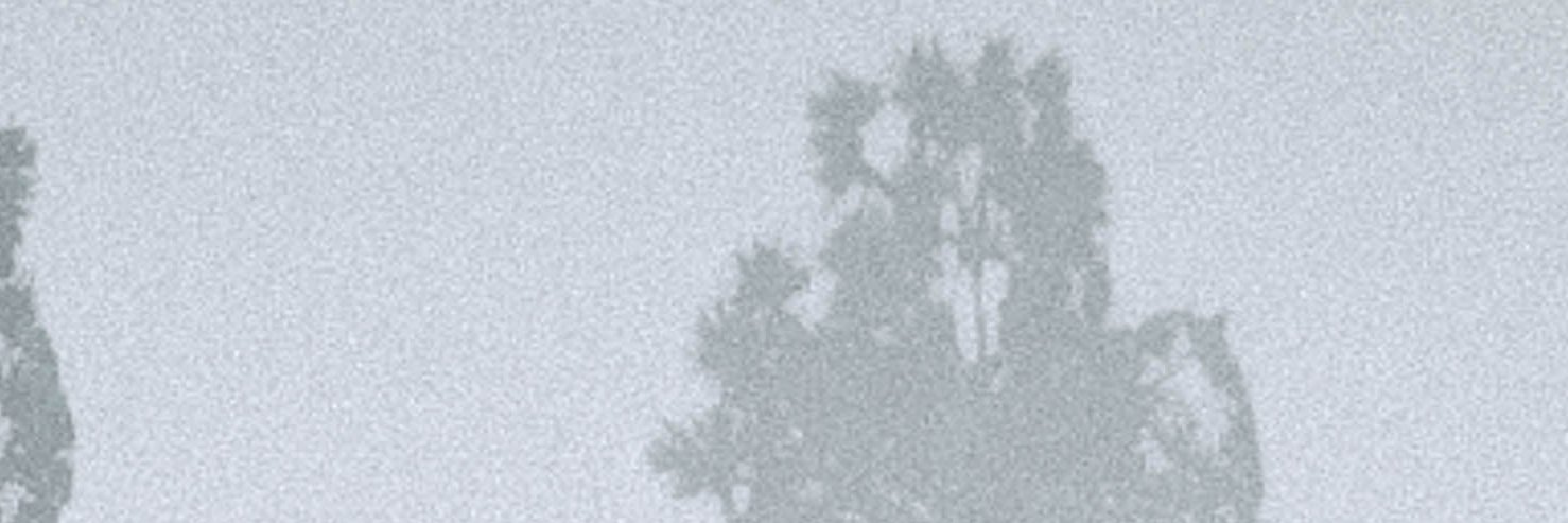 oNZeNnnnn's banner