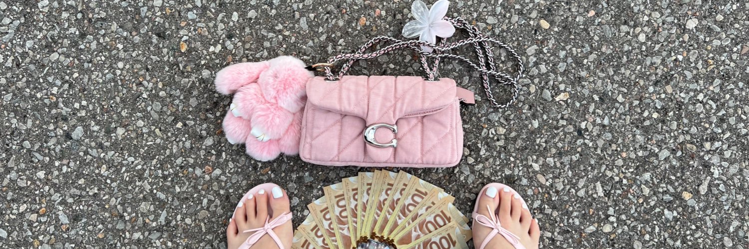 ⊹˚ Princess Mia ⊹˖'s banner