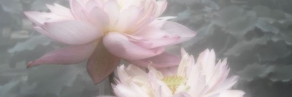 Megannn_777's banner